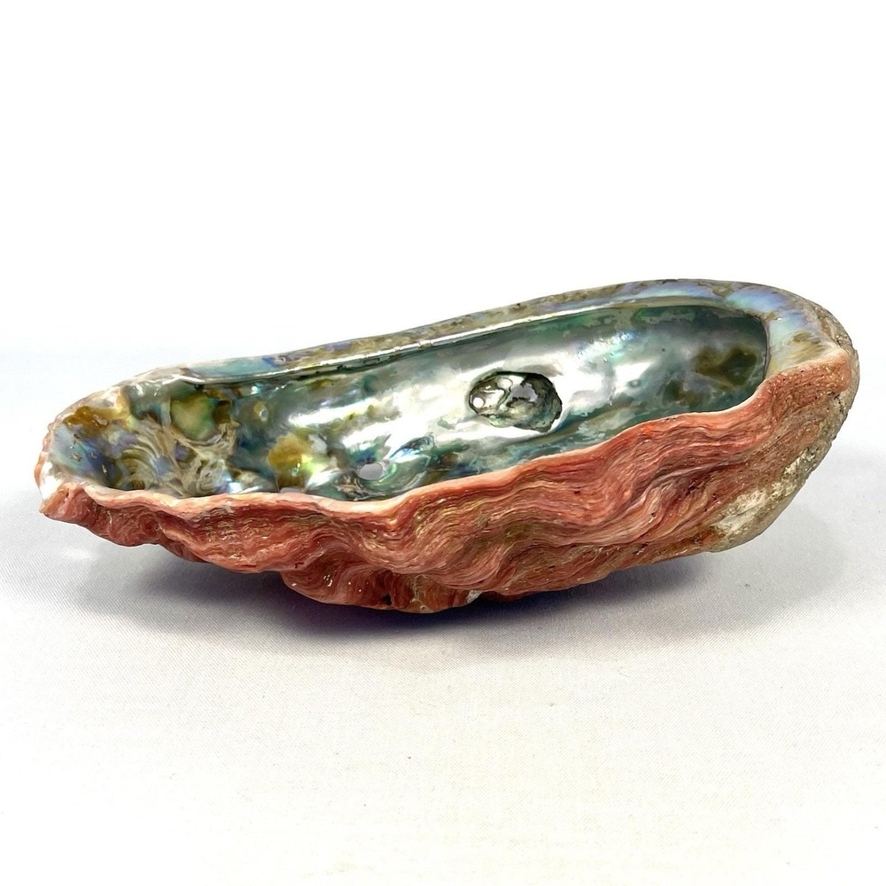 Vintage Large Red Abalone Shell 8" Mother of Pearl Shellwork Coastal Decor